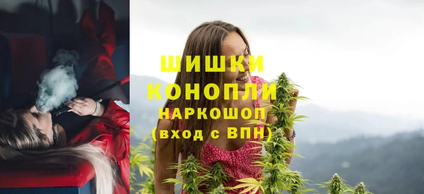сатива Абаза