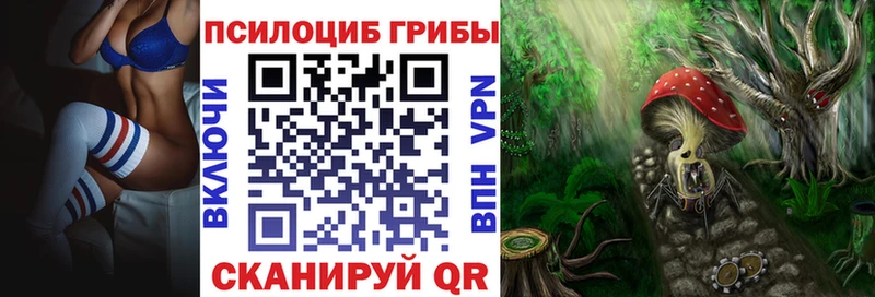 сколько стоит Черкесск Псилоцибиновые грибы мухоморы