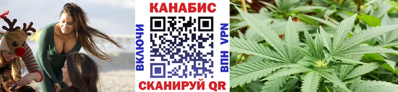 где продают   Черкесск  Конопля планчик 